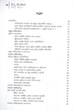 හිරු කිරණින් විදුලි බලය - Image 2