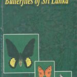 Butterflies of Sri Lanka