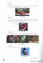 A/L Biology 110 MCQs - Image 2