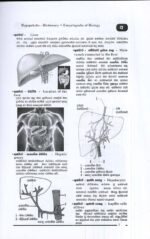 ජීව විද්‍යාව ශබ්දකෝෂය + විශ්වකෝෂය - Image 2