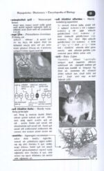 ජීව විද්‍යාව ශබ්දකෝෂය + විශ්වකෝෂය - Image 3