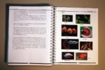 Biology Resource Book Grade 13 - Image 3