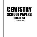 Chemistry 13-I Term Papers